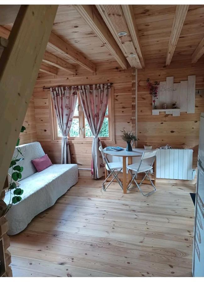 L'orée des bois , détente et calme . Mesigny Esterno foto