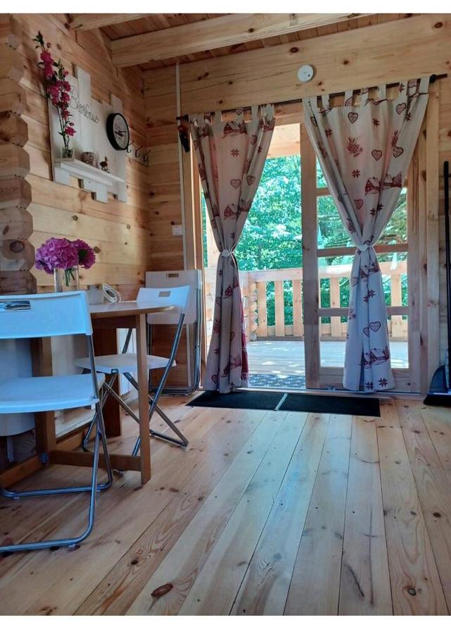 L'orée des bois , détente et calme . Mesigny Esterno foto