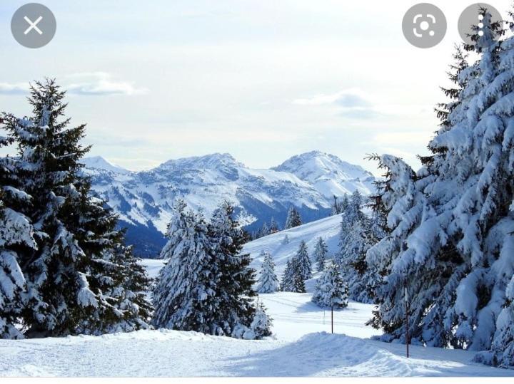 L'orée des bois , détente et calme . Mesigny Esterno foto