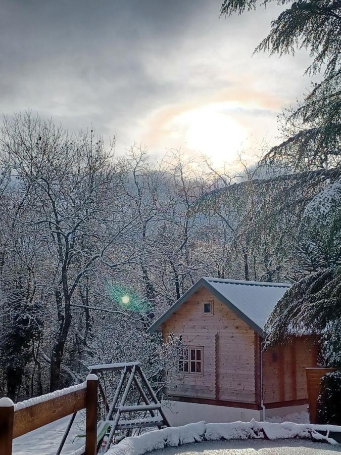 L'orée des bois , détente et calme . Mesigny Esterno foto