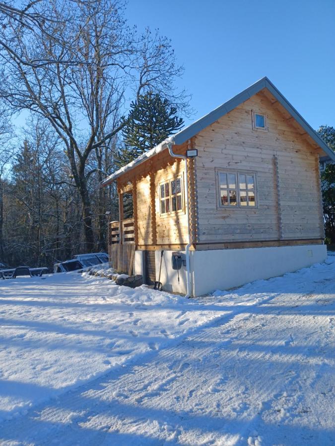 L'orée des bois , détente et calme . Mesigny Esterno foto
